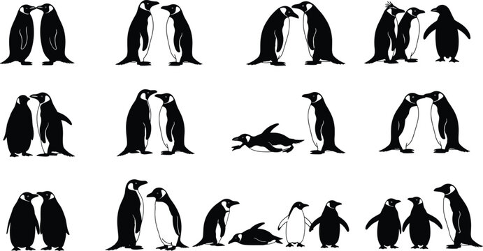 Penguin silhouette vector collection, black and white poses, bird interaction, nature theme, wildlife illustration, arctic design, animal behavior graphics