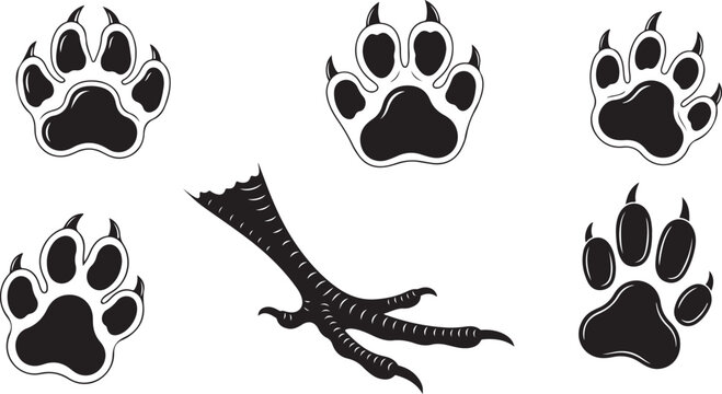 A collection of various black animal footprints, including canine or feline paw prints and three-toed bird tracks, perfect for nature and wildlife themes.