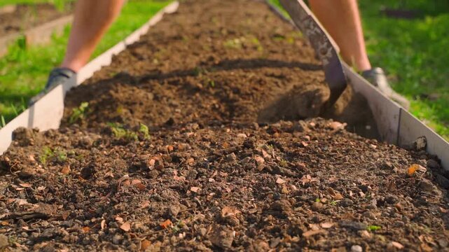 Slow motion plowing garden bed soil with hoe on sunny spring day