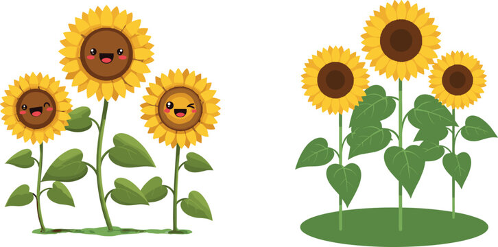 Cute and realistic sunflowers with smiling faces and green leaves, vector illustration