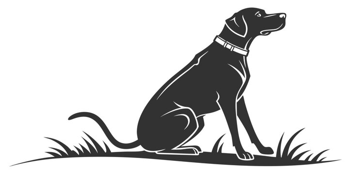 Black and white silhouette illustration of a hunting dog sitting alert in the grass with silhouette domestic illustration companion pointing training obedience watching creature isolated
