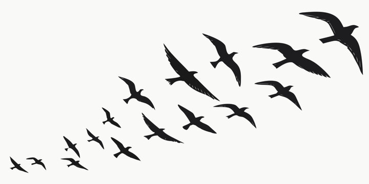 Group of birds flying in a v-formation silhouette isolated on a white background with bird group flying flock bird watching wildlife art flight path migratory birds v formation avian flight