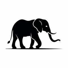 Fototapeta premium Black Silhouette of an Elephant Walking