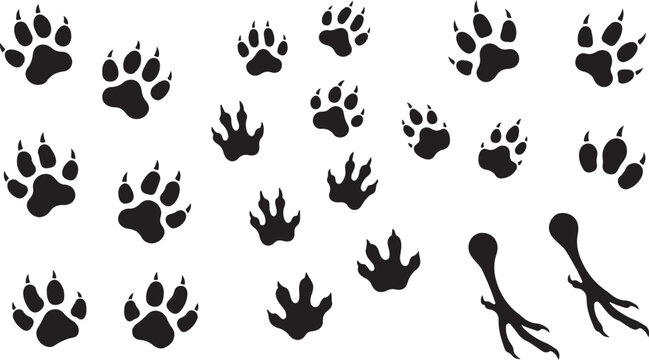Hand-Drawn Animal Paw Print and Claw Mark Vector Set