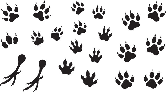 Hand-Drawn Animal Paw Print and Claw Mark Vector Set