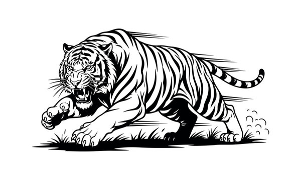 Tiger Attack Silhouette Vector Pack, Wild Animal Predator Illustration Collection
