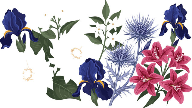 Elegant Floral Vector Set with Iris, Echinops, and Lily Flowers in Rich Colors for Botanical, Nature, and Decorative Designs