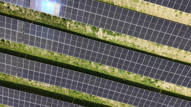 A tracking drone shot from a top-down perspective moving over rows of photovoltaic panels at the Pinos Puente solar plant, showing sunlight reflecting off the glass surfaces.
