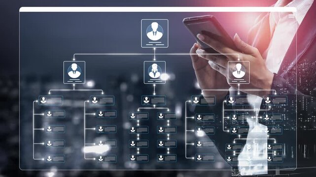 Modern Business Strategy and Team Structure Visualization Through Digital Technology with a Focus on Data Management and Professional Growth Sigmoid
