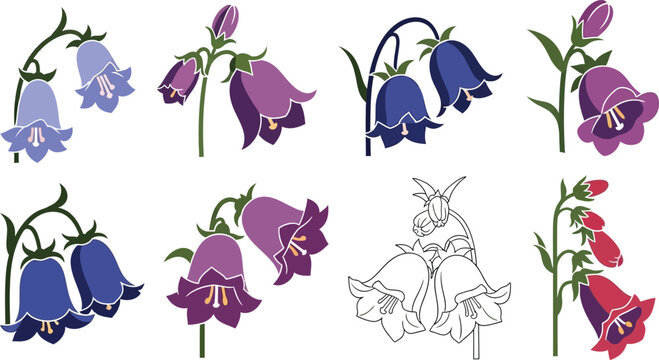 Collection of stylized bell-shaped flowers in various colors and a line bellflower campanula foxglove