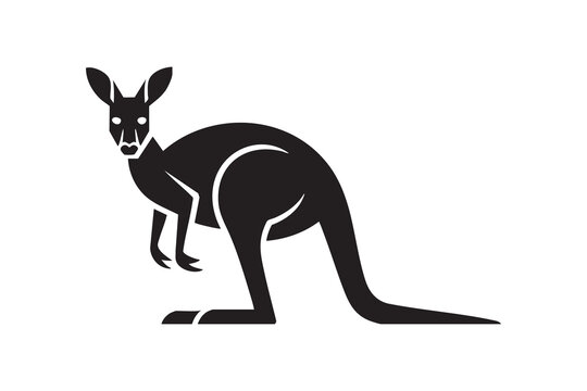 Kangaroo Silhouette Collection Modern Vector Animal Icons & Line Art Set