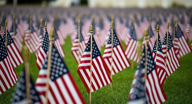 A field of American flags displayed on a grassy lawn, symbolizing patriotism and remembrance.