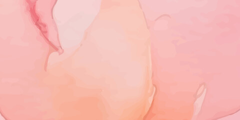 Fototapeta premium An abstract closeup of fresh raw meat texture featuring pink liquid bubbles and macro details of sliced pork ham fat