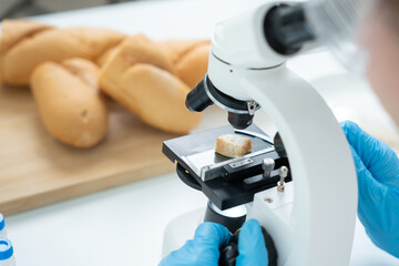 Scientist check chemical and fungus in laboratory. Control experts inspect the concentration of chemical residues. hazards, standard, prohibited substances, contaminate, Microbiologist © Shisu_ka