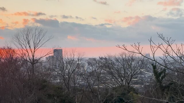 Sunset Over Kanazawa Cityscape with Bare Winter Trees in Japan