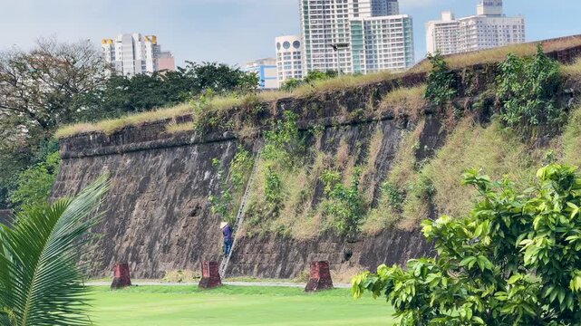Filipino Worker in Conical Hat Maintaining Stone Wall on Golf Course