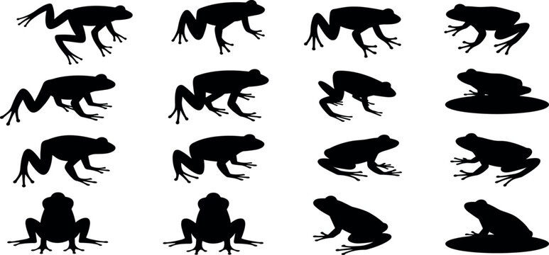 Set of frog silhouettes in various poses isolated on white background representing amphibian wildlife nature biology and animal design elements collection