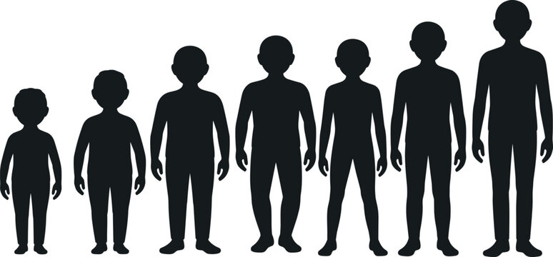 Silhouette of human growth stages from child to adult showing development progression isolated on white background representing age evolution concept