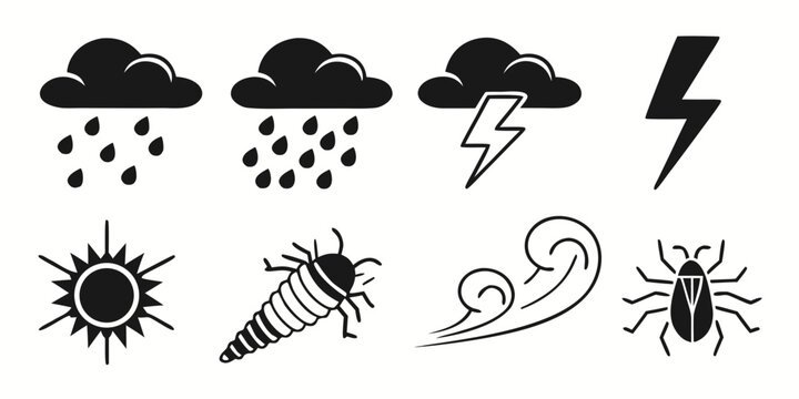 Collection of diverse black and white icons featuring weather elements like rainy clouds lightning sun wind alongside insect illustrations of a silverfish and a beetle suitable for various graphic