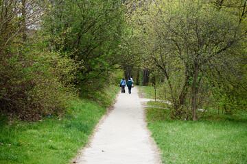 park  © Marcin Łazarczyk