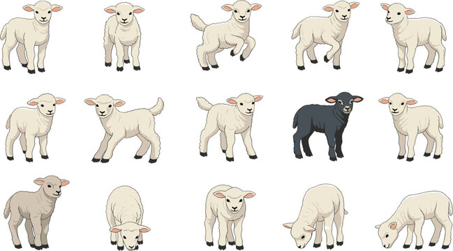 Set of Cute Lamb Illustrations Featuring Various Breeds and Poses Including Standing Jumping and Grazing for Farm Theme and Domestic Animal Graphic Designs