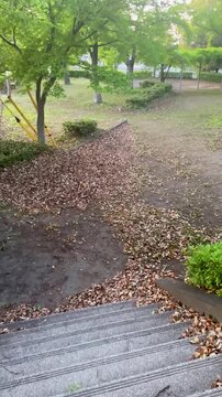 誰もいない公園を歩く