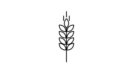 Fototapeta premium Simple line drawing of wheat icon.