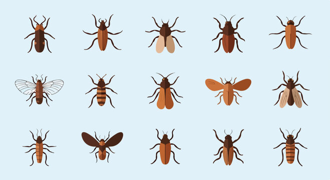 A collection of 15 different insect illustrations