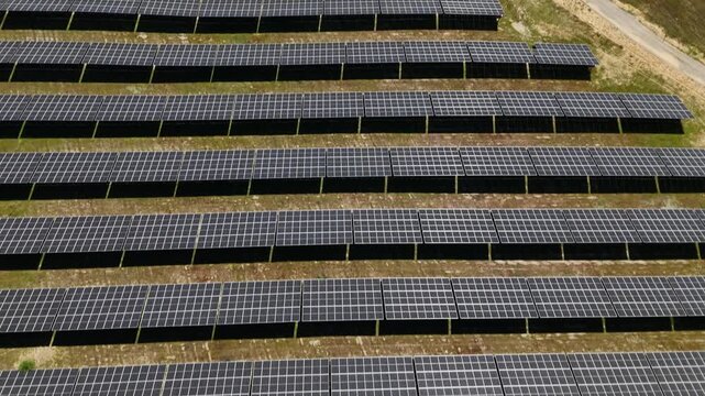 Aerial view of rows of photovoltaic solar panels in a large solar farm on a grassy field in Palmela, Setubal, Portugal.