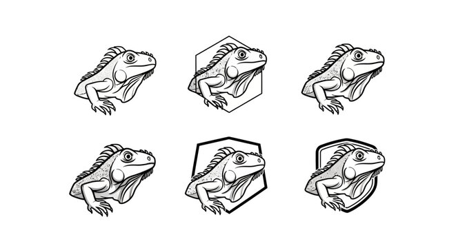 Iguana Head Illustrations - A Collection of Reptilian Portraits.