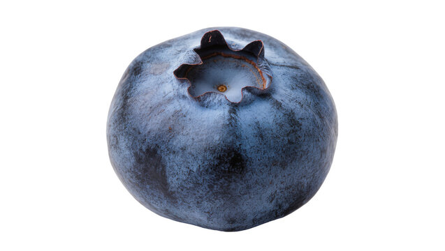 Single ripe blueberry with a star-shaped calyx, isolated on transparent background
