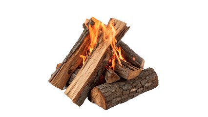 Firewood is stacked and burning brightly in a campfire setup for warmth and cooking isolated on transparent background cut out © 1png-stock