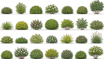Naklejka premium Set of shrubs and bushes in elevation view for use in architectural drawings