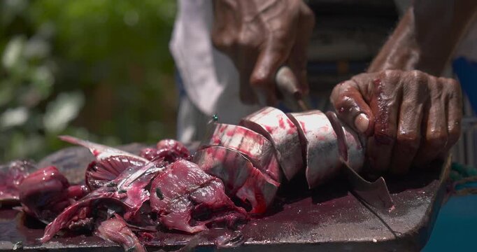 slicing fresh fish into thick pieces Close up video frame of skilled hands on a wooden board outdoors Traditional seafood preparation with knife raw flesh blood texture and shallow depth of field