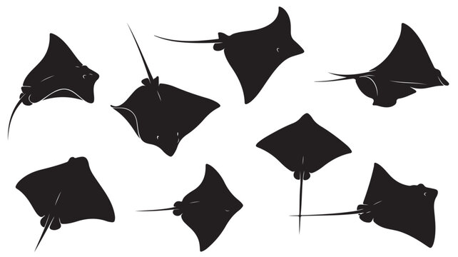 Stingray silhouette vector set, black manta ray icons in various swimming poses, ocean wildlife collection of 8 sea creatures on white background