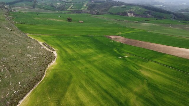 Low aerial drone shot over lush green wheat fields and plowed farmland in the Sicilian interior, near Mineo. Rolling hills and a country road curve through the vibrant agricultural landscape.