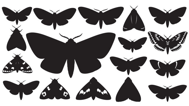 Black moth silhouette collection, set of 15 butterfly and moth vector icons, dark insect graphic elements for nature design and spooky decor