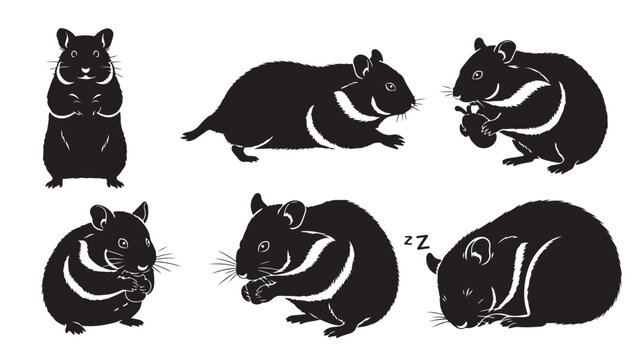 Hamster silhouette vector set, black and white rodent character collection, cute small pet icons in various poses for pet shop branding