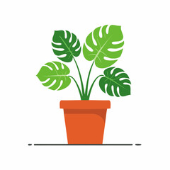Obraz premium Monstera Plant in a Terracotta Pot