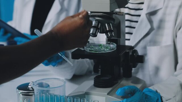 Medical science laboratory. Concept of virus and bacteria research
