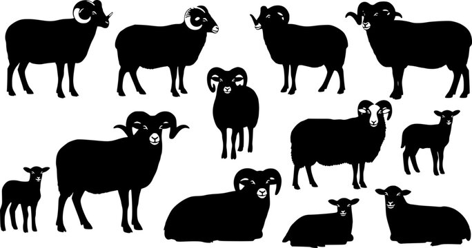 Silhouette set of rams, sheep, and lambs in various poses.