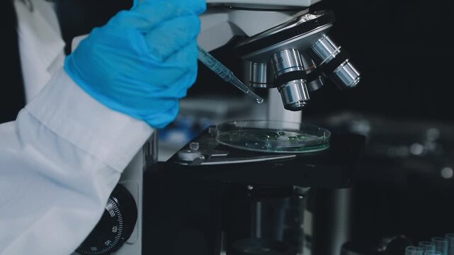 Medical science laboratory. Concept of virus and bacteria research