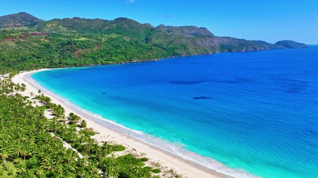 Drone view of the tropical island of Samana in the Dominican Republic. The Caribbean Sea with clear blue water and green palm trees. The white sandy beach of Rincon. The best beach in the world.