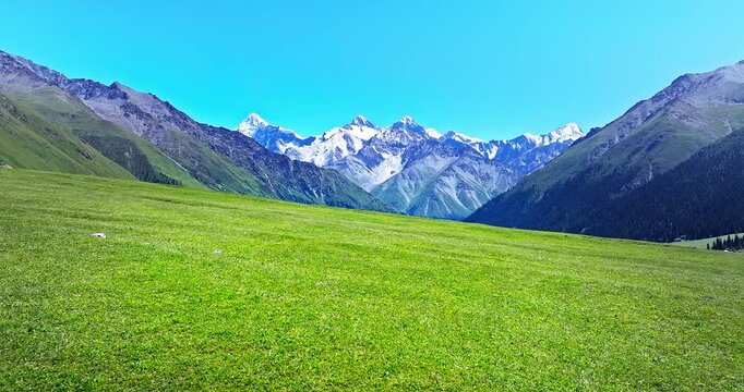 Majestic snow capped mountain range rising above a lush green alpine meadow under a clear blue sky in Xinjiang, China