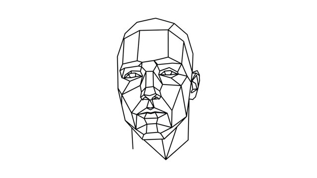 Geometric polygonal line art portrait head.