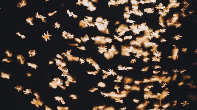 moth flying in the neon light