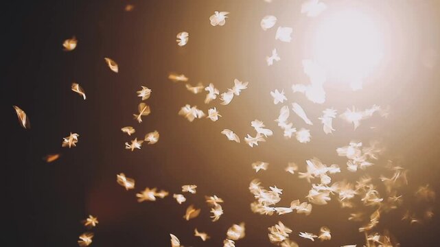 moth flying in the neon light