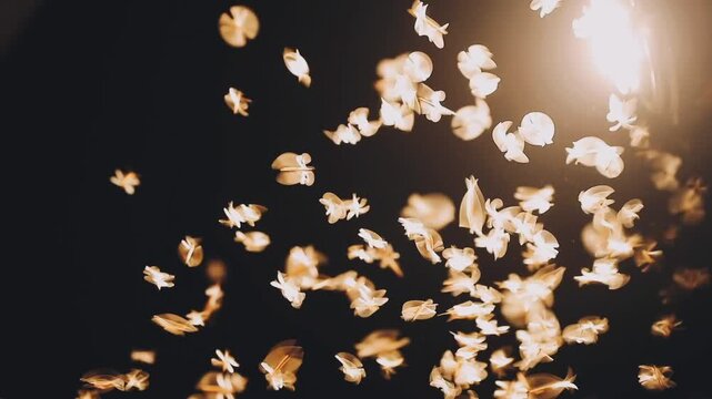 moth flying in the neon light