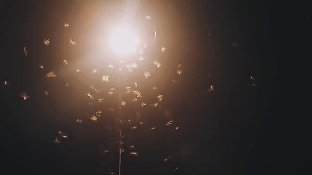 moth flying in the neon light