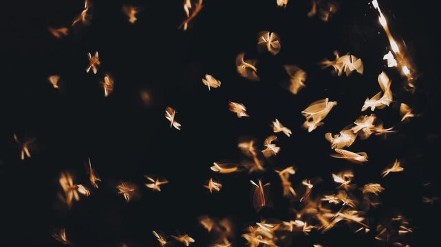 moth flying in the neon light